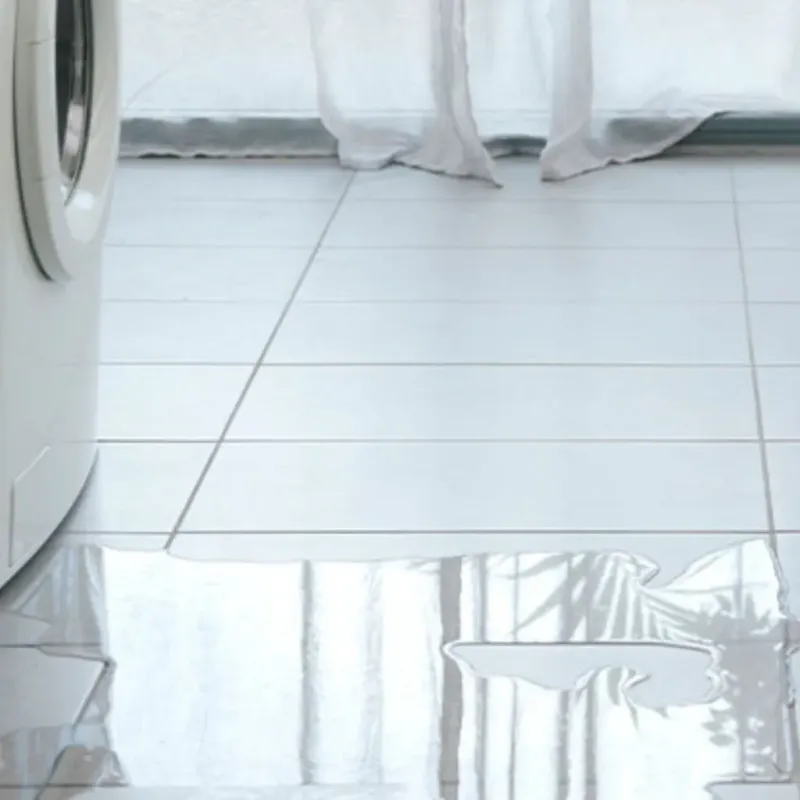 Appliance Leak Cleanup in Winston, FL