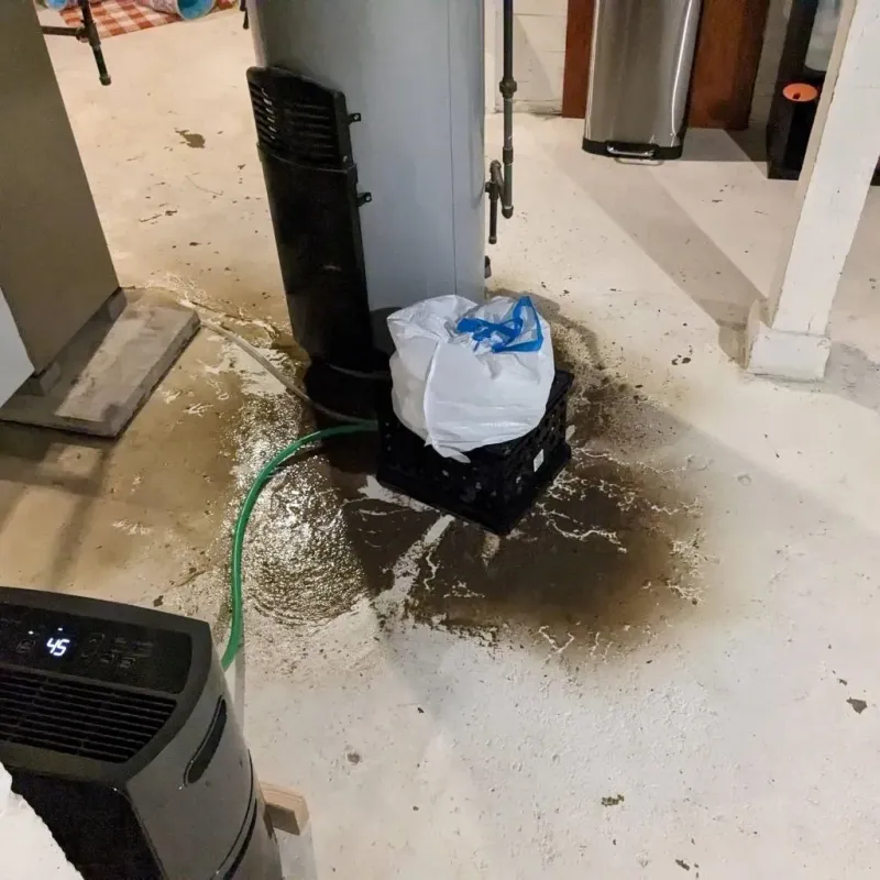 Sewage Backup Cleanup Service in Winston, FL